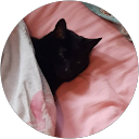 eve wallder eve wallder